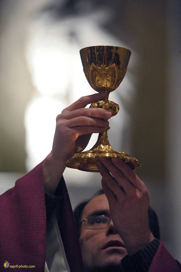 Nom de l'image : D30045882_1_(c)Norbert-JUNG — Description :